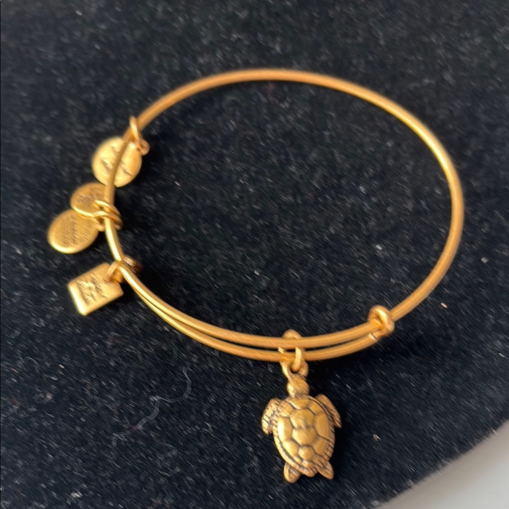 NWOT Alex & Ani Charity Sea Turtle Gold Bangle Bracelet